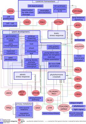 Cytokinin Signaling Downstream of the His-Asp Phosphorelay Network: Cytokinin-Regulated Genes and Their Functions